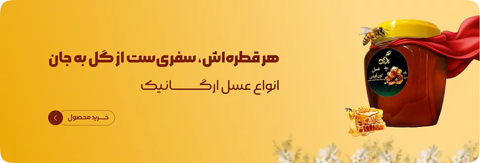 بنر 4