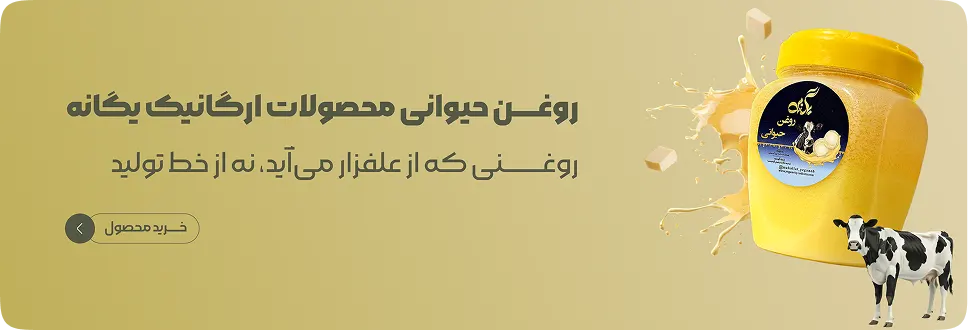 بنر 3